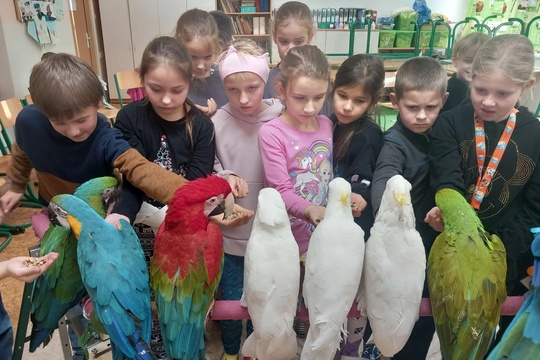 Enviromentálny program s papagájmi Ararakovo 1