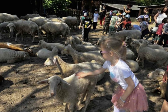 Predškoláci na Biofarme Stupava 1