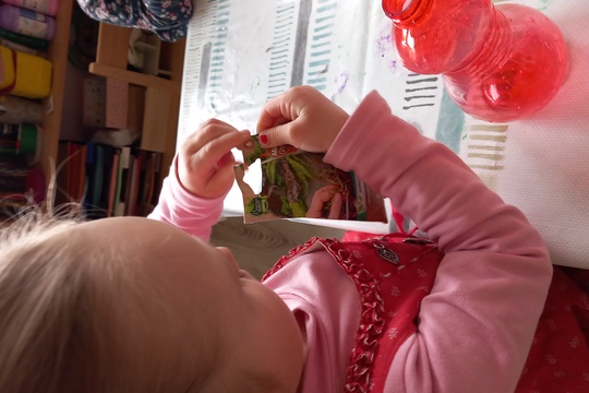 Sadenie semienok a klíčkov  1