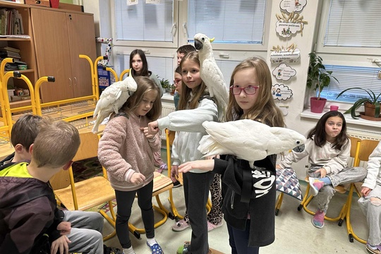 Enviromentálny program s papagájmi Ararakovo 1