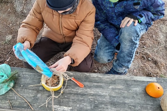 Pomáhame vtáčikom v zime  1