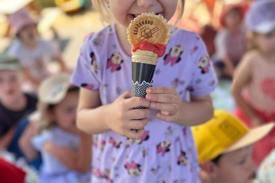 Letné šantenie so zdravým jahodovým sorbetom  1