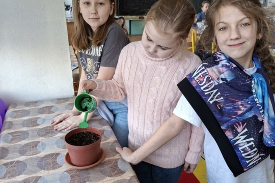 Týždeň plný strukovín 1