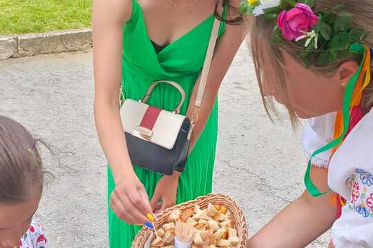 Vítanie chlebom a soľou krásne Slovenské zvyky-vystúpenie súboru Búčik  1