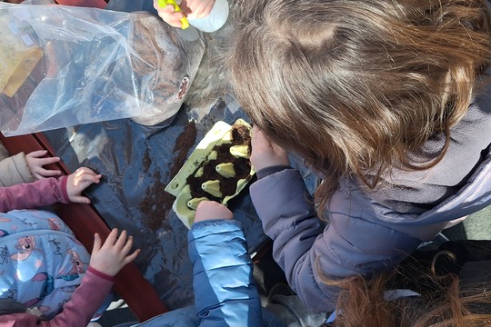 Mikrobylinky Mikrobylinky 1