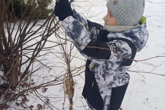 Pomáhame vtáčikom v zime  1