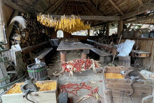 exkurzia farma Abeland Lozorno 1