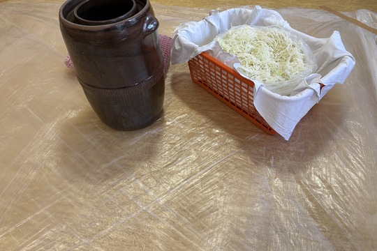 Kapusta je v sude Kapusta je v sude 1