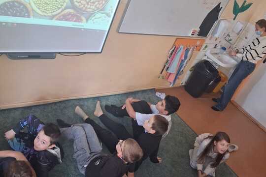 Bielkoviny na našom tanieri: Od mäsa až po strukoviny Bielkoviny na našom tanieri: Od mäsa až po strukoviny 1