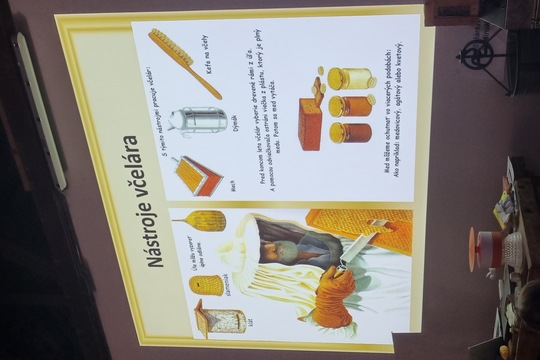 Návšteva včelárstva 1