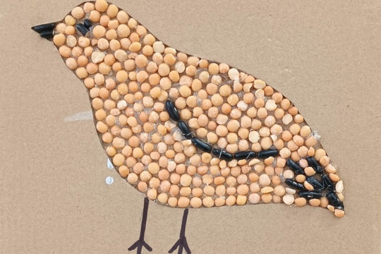 Týždeň plný strukovín 1