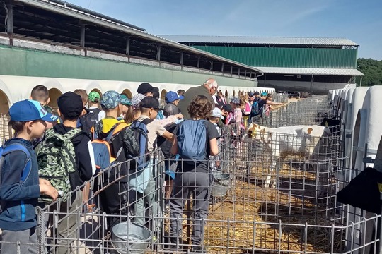 Deň otvorených dverí na farme Šterusy 1