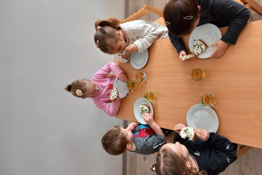 Sadenie semienok a klíčkov  1