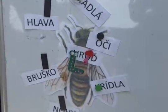 Edukácia o včelárstve aj sladkostiach 1