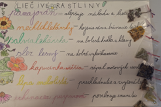 Liečivé bylinky Liečivé bylinky 1