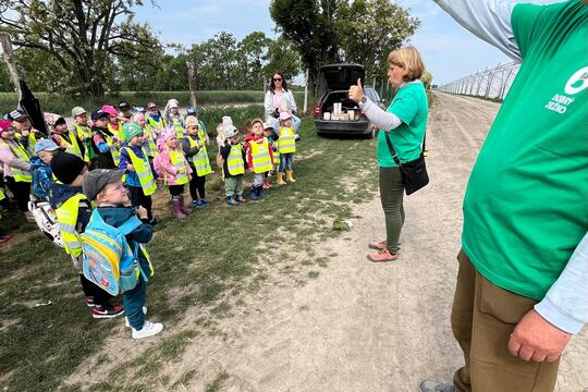 Samozber jahôd 2025 1