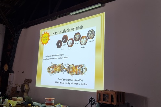 Návšteva včelárstva 1