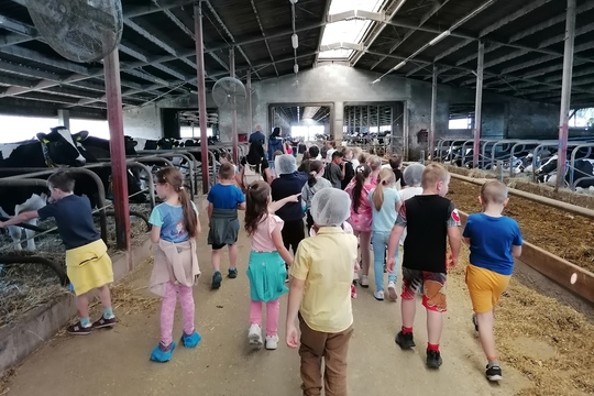 Spracovanie mlieka z regionálnej farmy 1