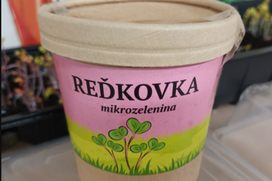 Z učebne malá záhradka: Mikrozelenina očami žiakov Z učebne malá záhradka: Mikrozelenina očami žiakov 1