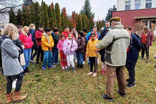 Ošetrovanie drevín 1