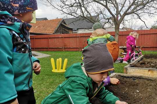 O semienku trochu inak  1