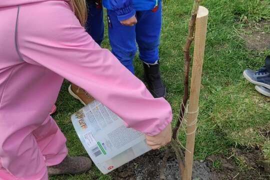 Naša cesta k splneniu bronzových kritérií programu Skutočne zdravá škola 1