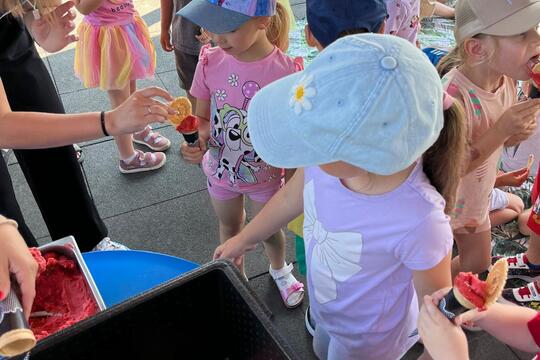 Letné šantenie so zdravým jahodovým sorbetom  1