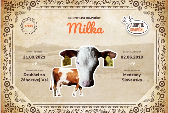 Projekt: Adoptuj kravičku - úspešní štvrtáci! 1