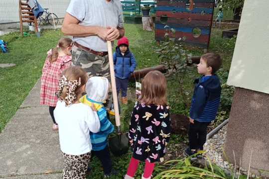 Školská záhrada 1