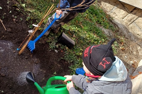 Sadenie stromčekov 1