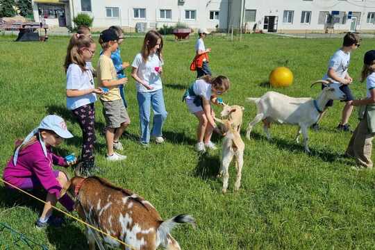 Exkurzia na Gazdovstve Vajnory 1