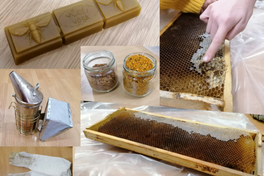 Včely - zážitkové vyučovanie  1