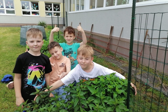 Pestovateľské úspechy vo vyvýšených záhonoch sú aj chutné  1