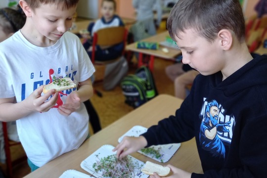 Naše Mikrobylinkové záhradky 1