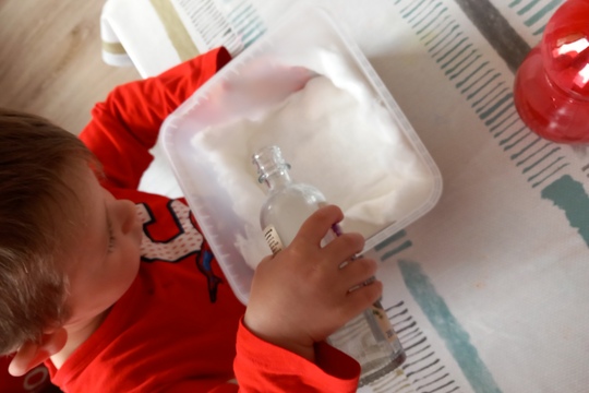 Sadenie semienok a klíčkov  1