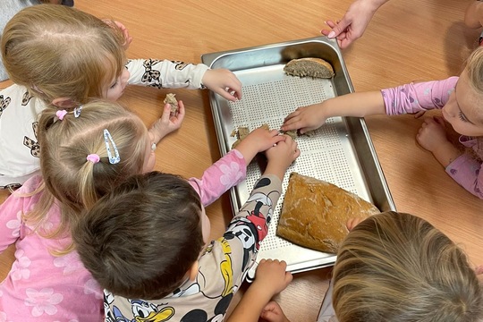 Od zrnka ku chlebíku 1