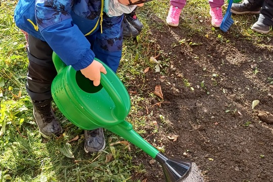 Sadenie stromčekov 1