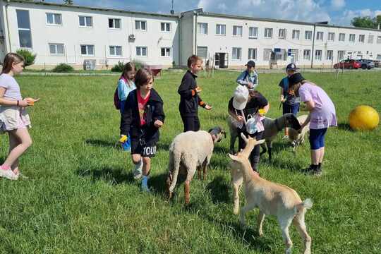 Exkurzia na Gazdovstve Vajnory 1