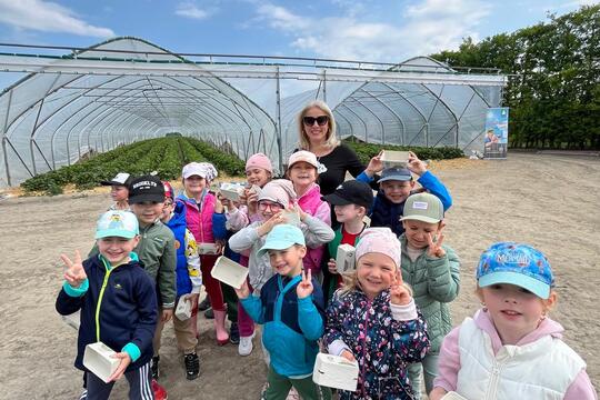 Samozber jahôd 2025 1