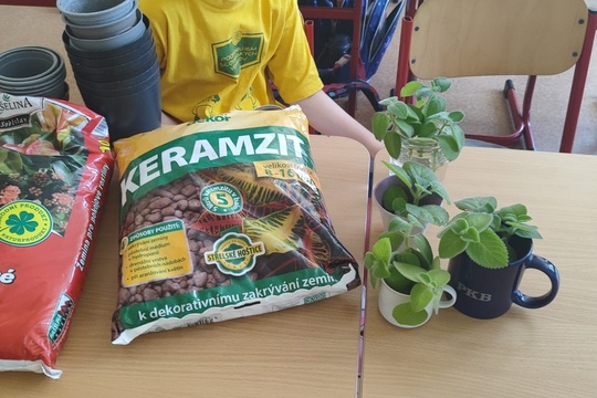 Starostlivosť o rastliny a darček pre mamičky Starostlivosť o rastliny a darček pre mamičky 1