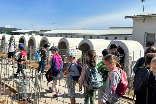 Deň otvorených dverí na farme Šterusy 1