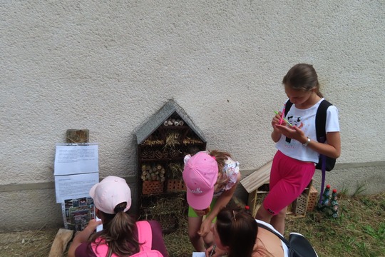 Projekt "Cesta včielok" 1