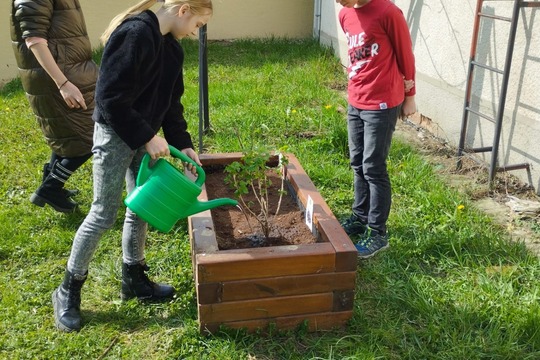 Záhrada pre včeličky a usilovné detičky 1