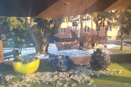 Pomáhame vtáčikom v zime  1