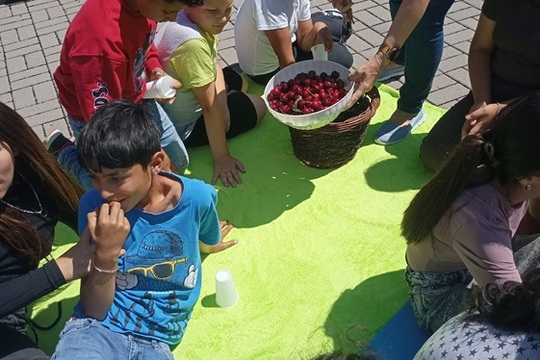 Piknik na školskom dvore Piknik na školskom dvore 1
