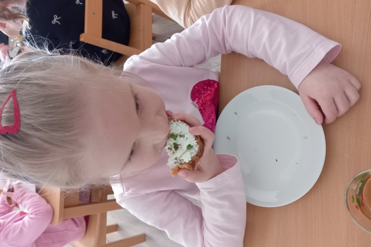 Sadenie semienok a klíčkov  1