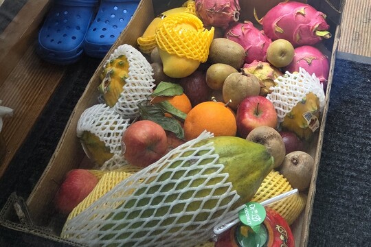 Karneval plný nových chutí 1