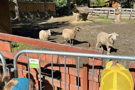 Naša exkurzia eco park Prešov domáce zvieratá  1