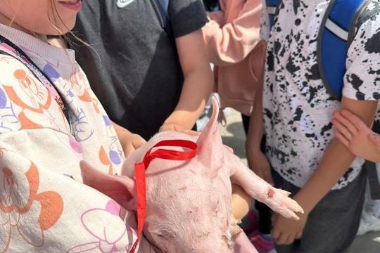 Deň otvorených dverí na farme Šterusy 1