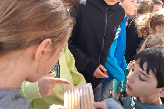Včielky Osmia  – náš vlastný chov opeľovačov  1